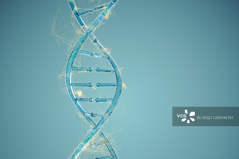 透明DNA与金色发散线条 三维渲染图片素材