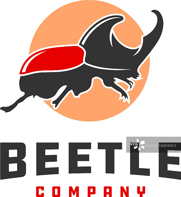 甲虫动物标志设计图片素材