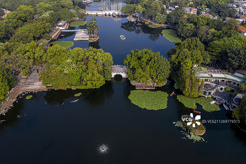 广州市 荔湾湖公园 荷花池 航拍图片素材