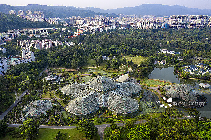广州市 华南植物园 航拍图片素材