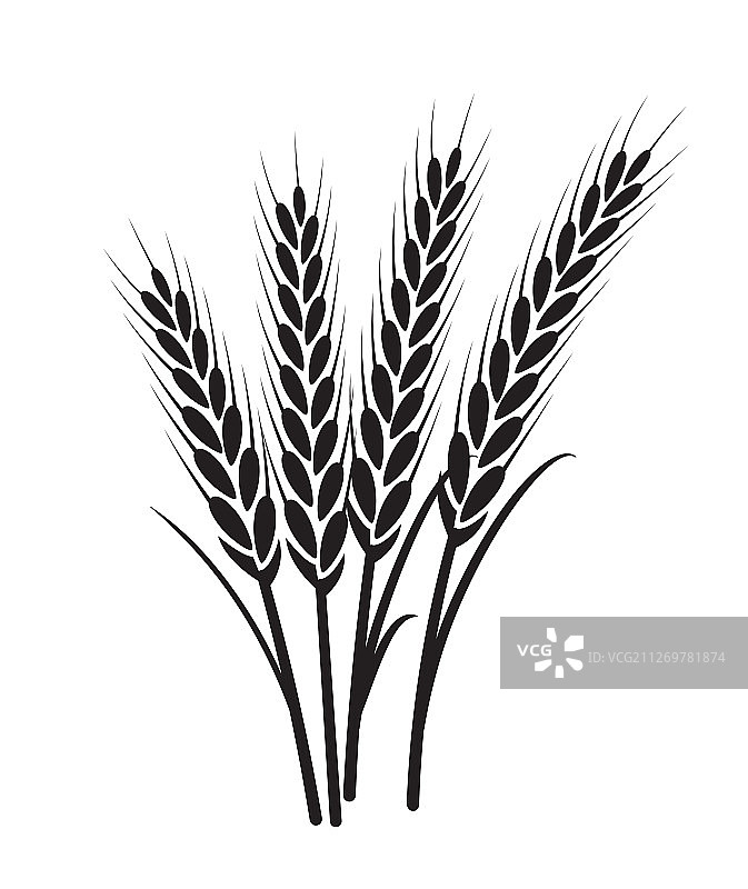 小麦植物谷物图标图片素材