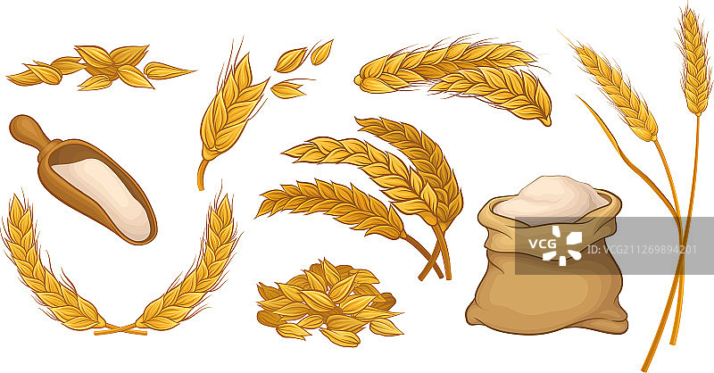麦穗粮食文化图片素材
