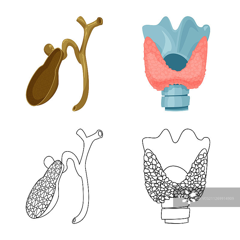 人体符号设计图片素材