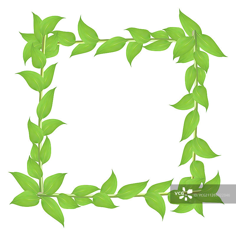 带茎绿叶落叶边框图片素材