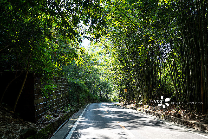 贵州省赤水市佛光岩景区竹林间的道路图片素材
