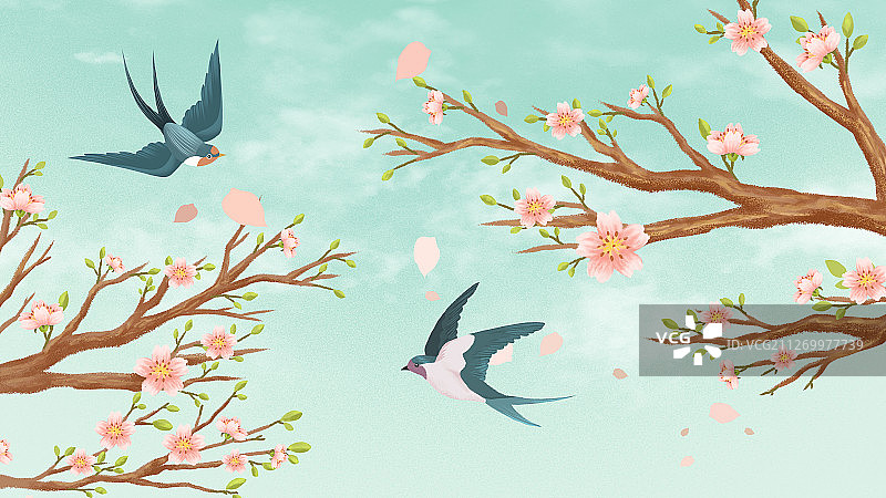 晴朗天空下的樱花和燕子图片素材