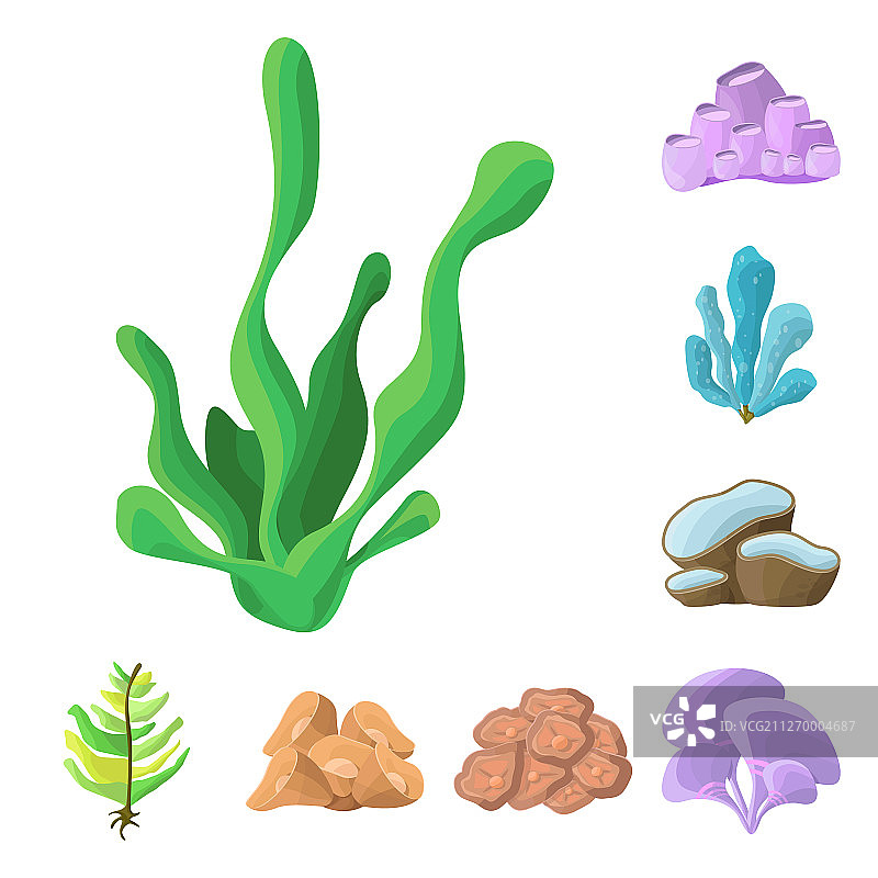 水下世界与水族馆标志设计合集图片素材