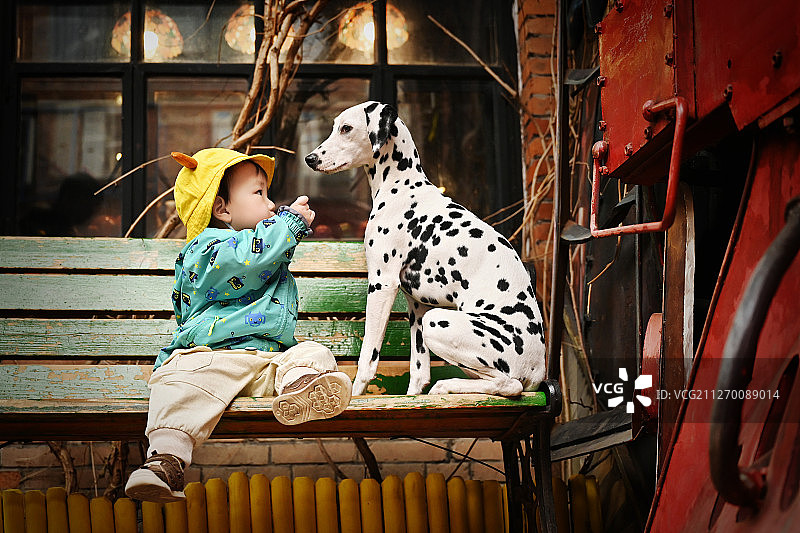 小孩和大麦町犬图片素材