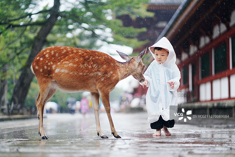 小孩与鹿图片素材