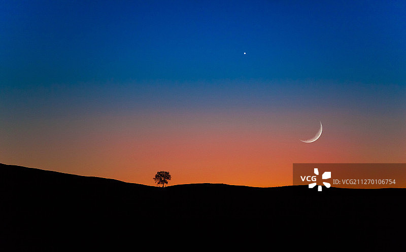 金星合月下的御道口孤树图片素材