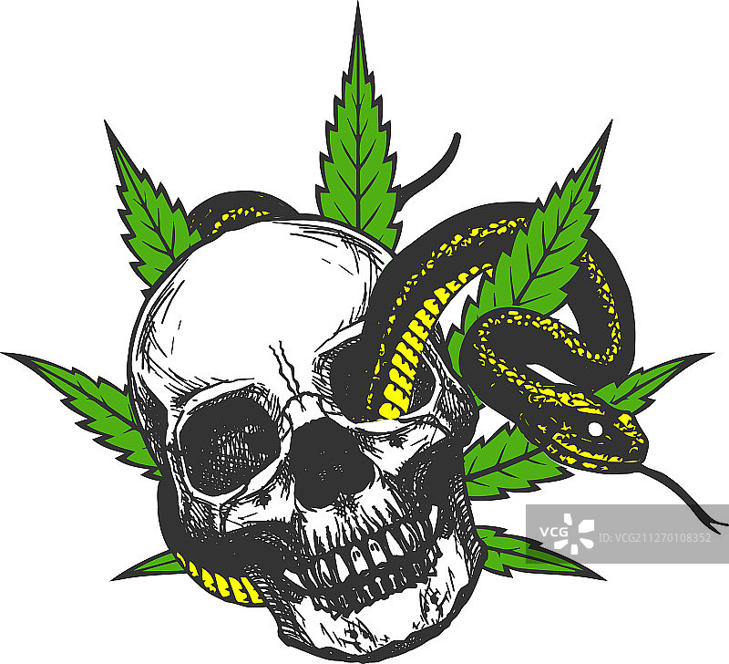 手绘骷髅大麻叶蛇标志设计图片素材
