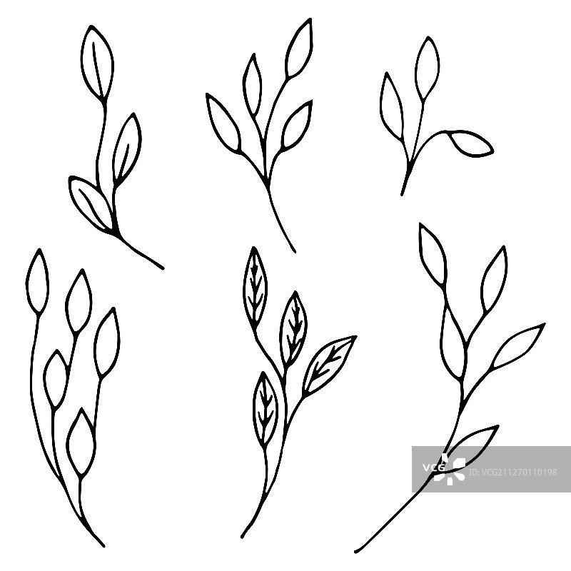 涂鸦风格的观赏树叶和小树枝合集图片素材