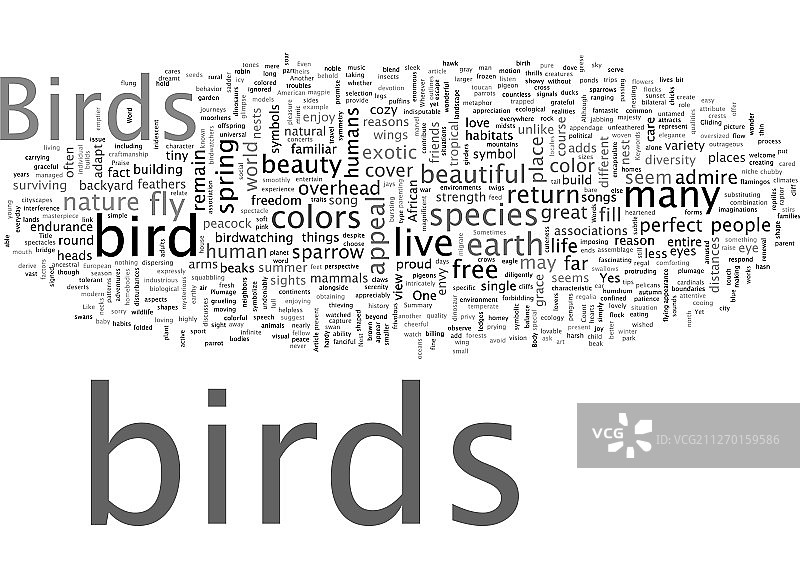 赞美鸟类的文字图片素材