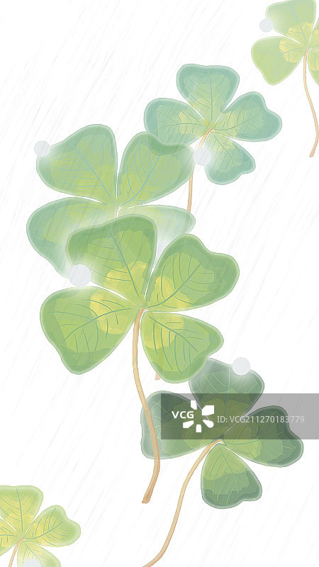 四叶草图片素材