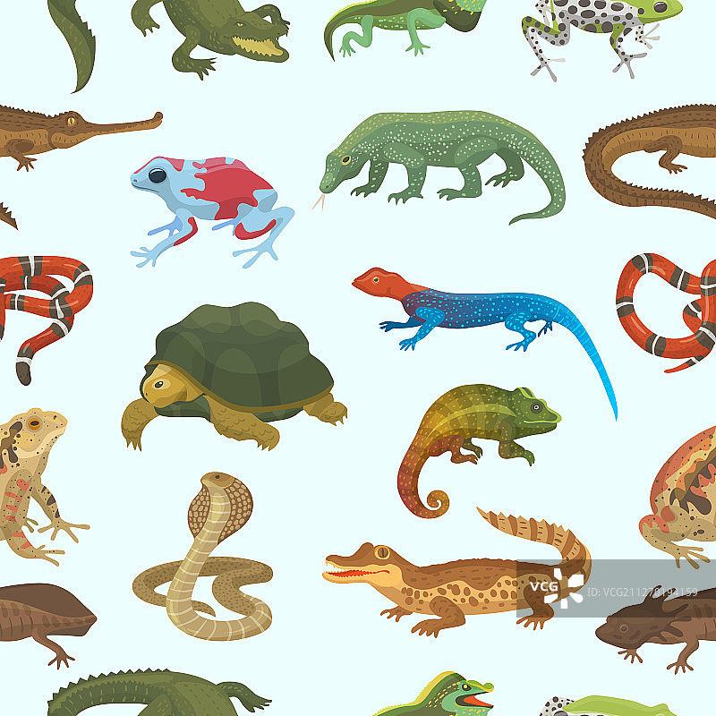 爬行动物自然蜥蜴动物野生动物图片素材