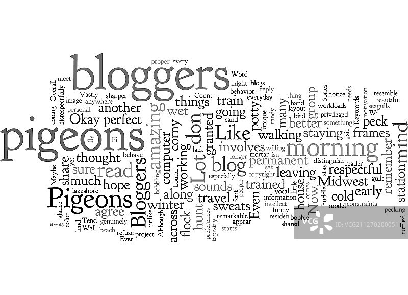 博主很像鸽子图片素材