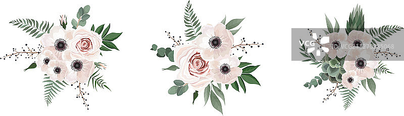 银莲花桉树花束设计图片素材