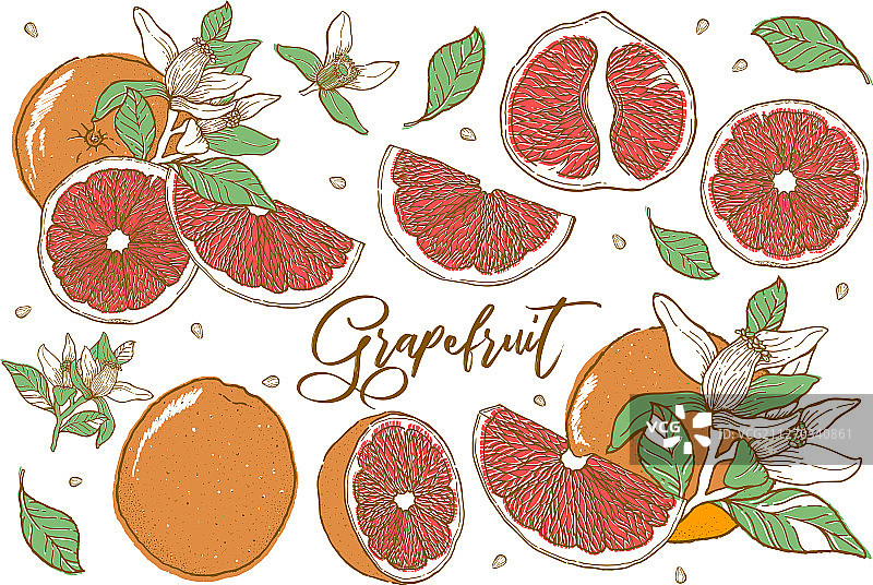 手绘橙子水果图片素材