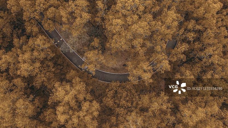 航拍广州市番禺区大夫山森林公园秋林小径图片素材