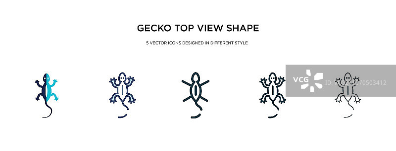 不同风格的壁虎俯视图标图片素材