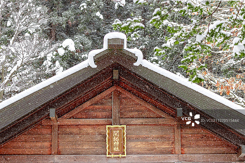 北海道神宫图片素材