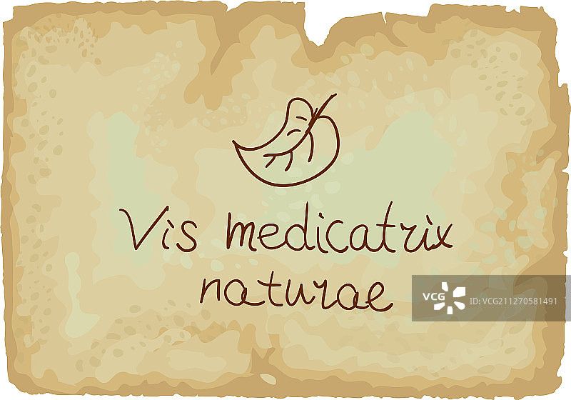 人体内在的自愈力图片素材