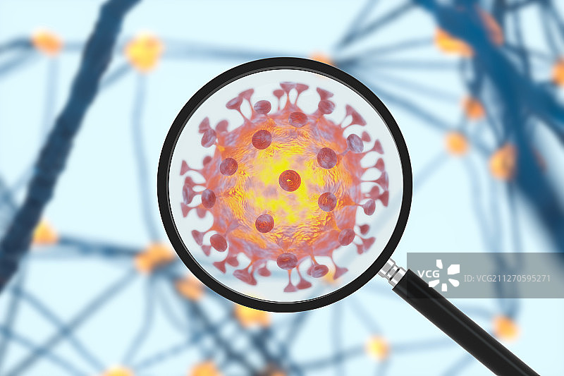 放大镜观察病毒 三维渲染图片素材