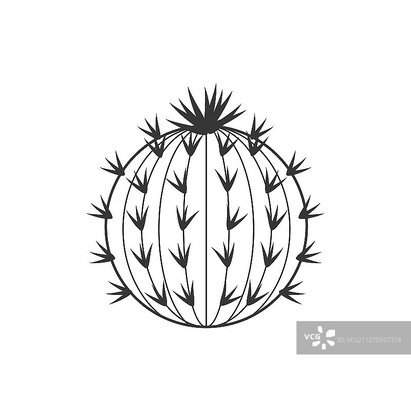 仙人掌和多肉植物轮廓图片素材