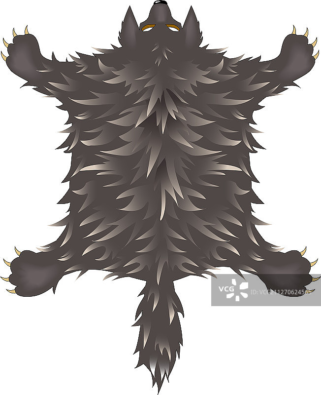 被钉死的蓬松灰狼皮图片素材