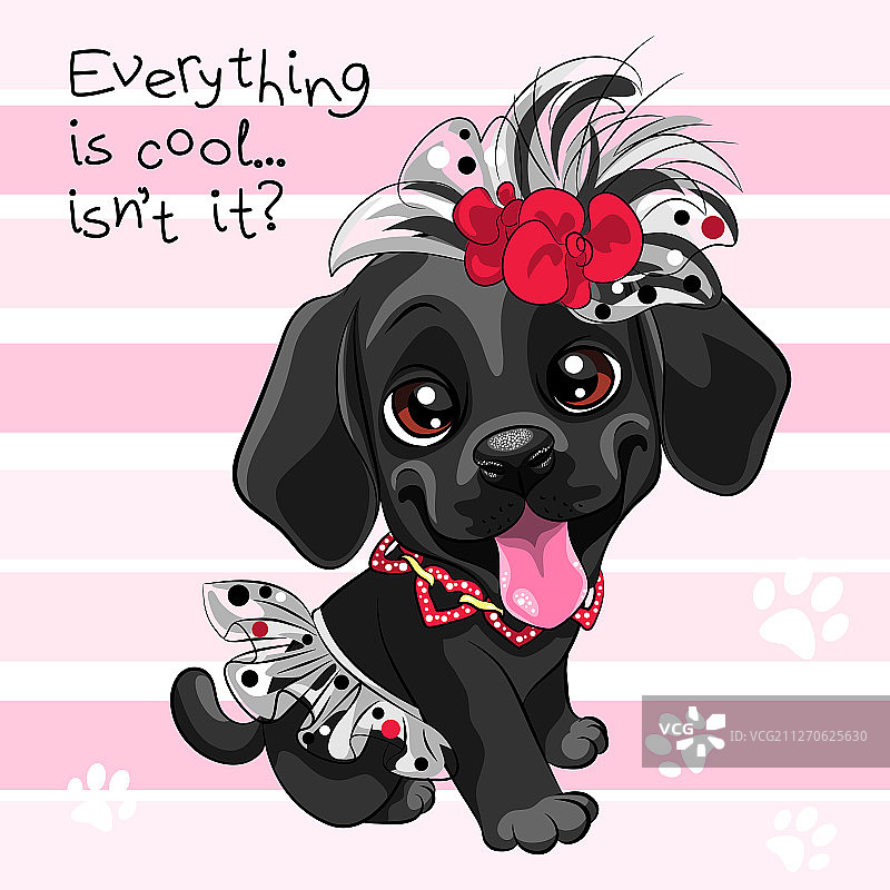 小狗——拉布拉多寻回犬图片素材