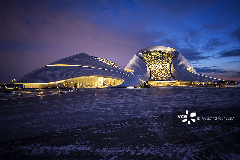 哈尔滨大剧院夜景图片素材