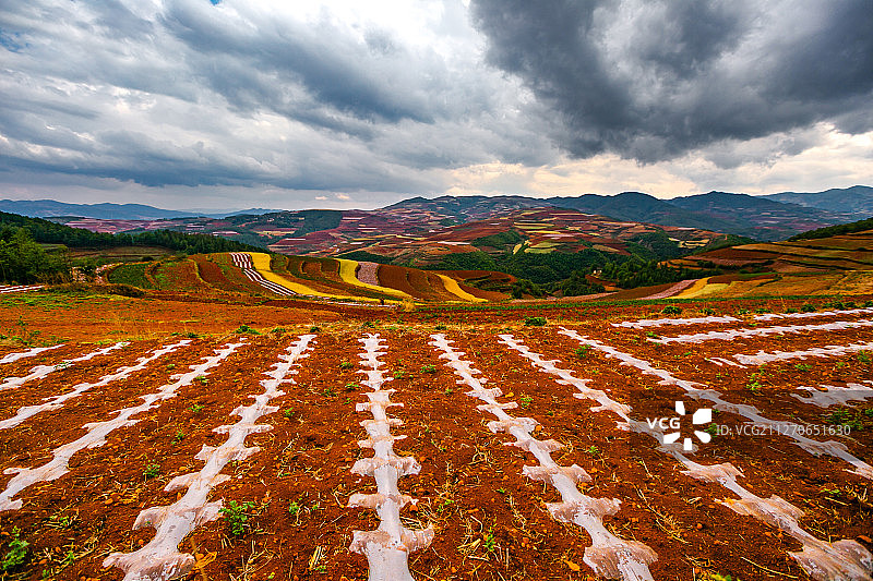 云南东川红土地自然风光-25图片素材