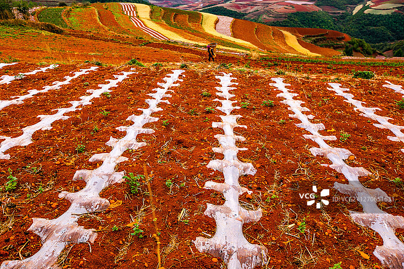 云南东川红土地自然风光-26图片素材