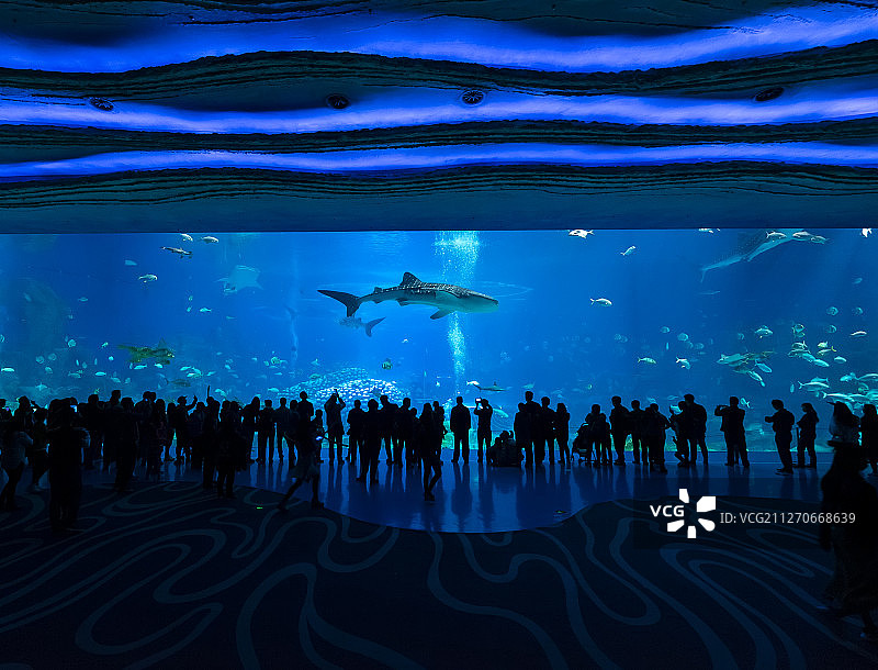 海洋世界图片素材