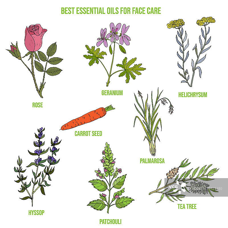 面部护理最佳精油图片素材