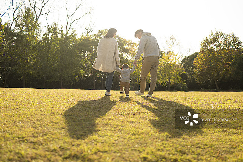 年轻夫妇在草地上教宝宝走路图片素材