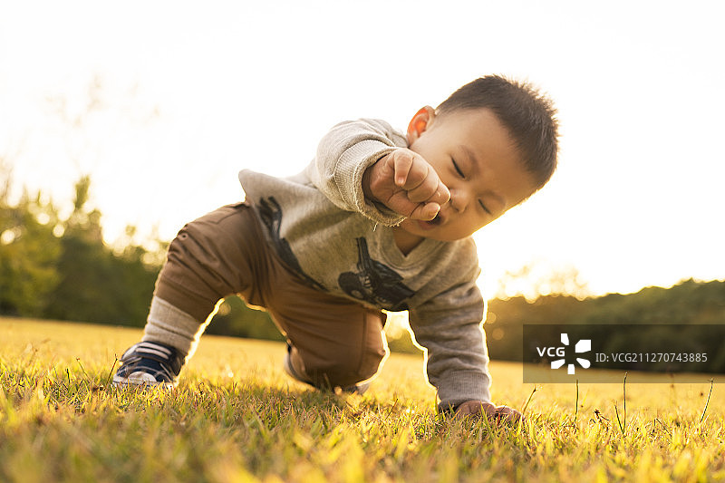 可爱的宝宝在草坪上玩耍图片素材