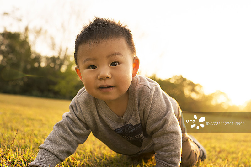 可爱的宝宝在草坪上玩耍图片素材