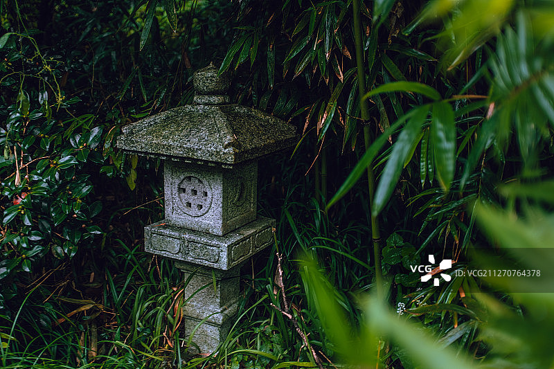竹林中的日式石灯图片素材
