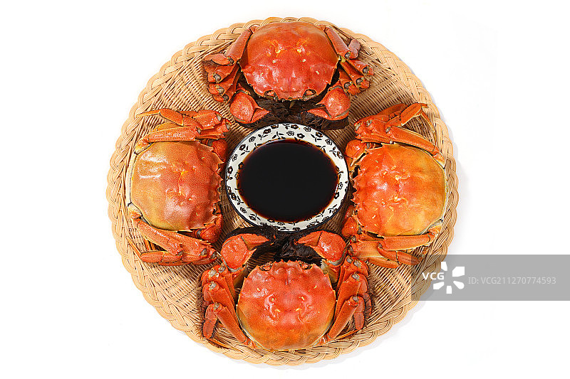 大闸蟹图片素材