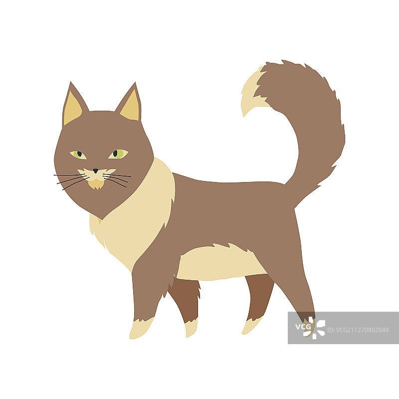 带彩色毛皮的可爱卡通小猫图片素材