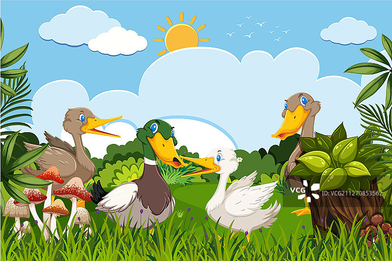 树林场景中的鸭子图片素材