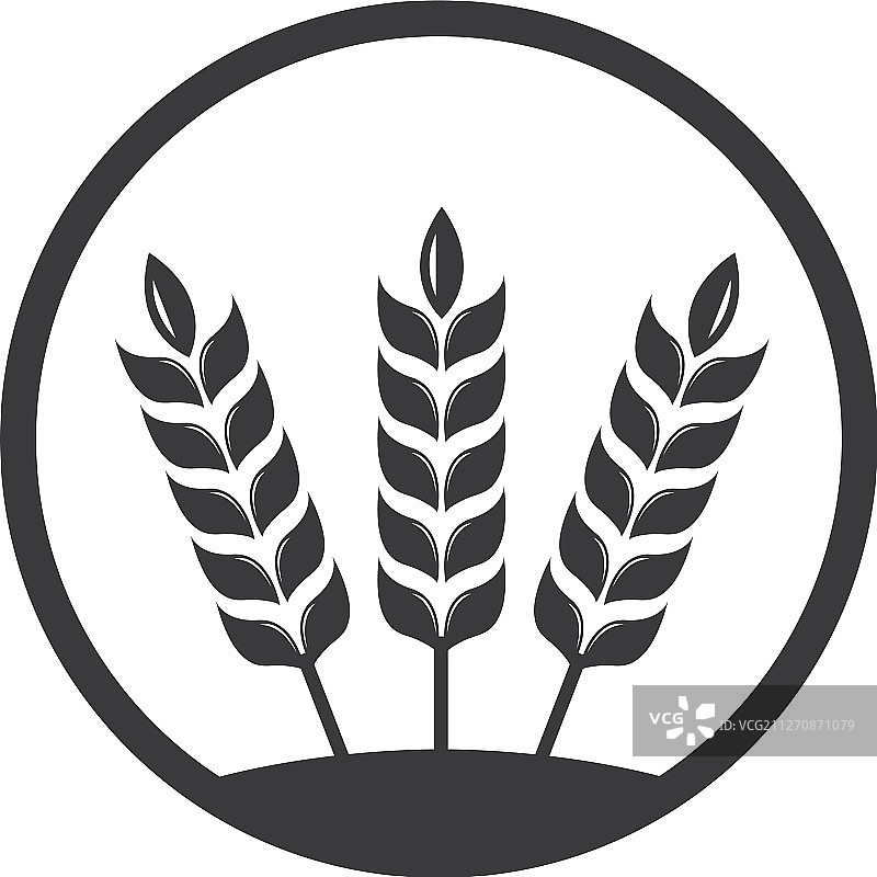 小麦农业logo模板图标图片素材
