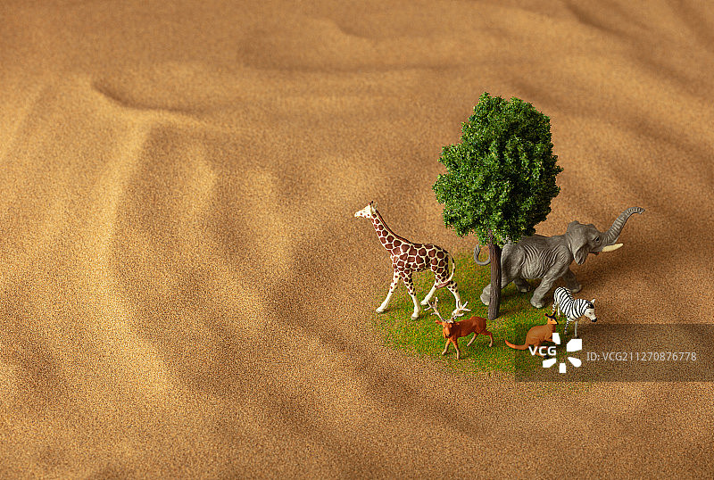 沙漠绿洲野生动物的生存空间图片素材