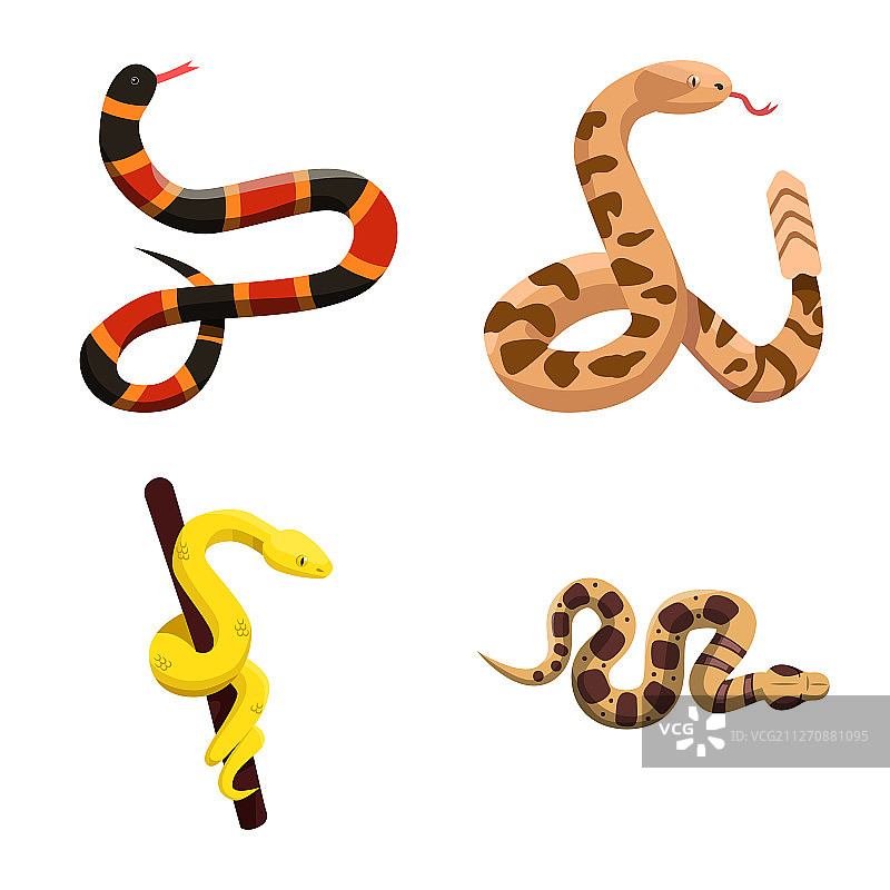 蛇和恐怖图标合集图片素材