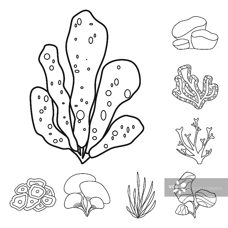 海洋符号合集图片素材