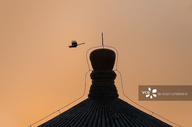 飞越辑芳亭图片素材