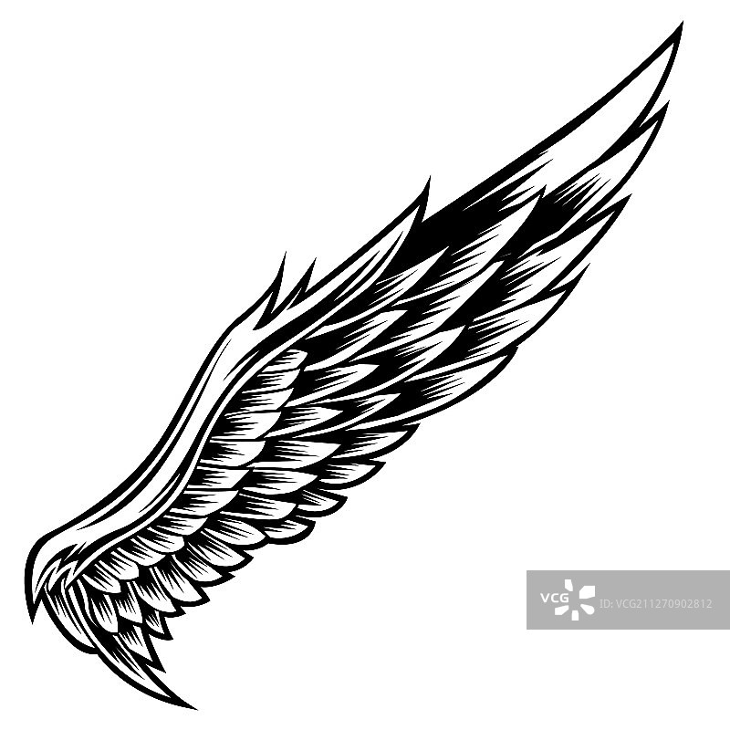 黑白翅膀图案图片素材