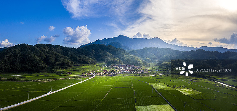 上青乡崇化村的春天图片素材
