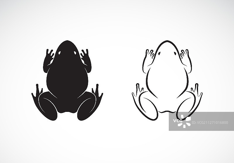 白色背景上的青蛙两栖动物设计图片素材